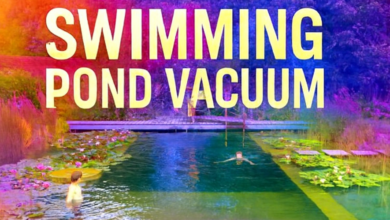 Maximize Pond Health with a High-Performance Swimming Pond Vacuum