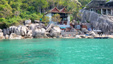 Finding a Different Side of Jamaica, Away From the Postcards