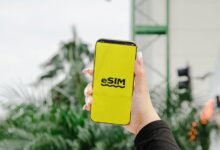 cloud innovation services provider